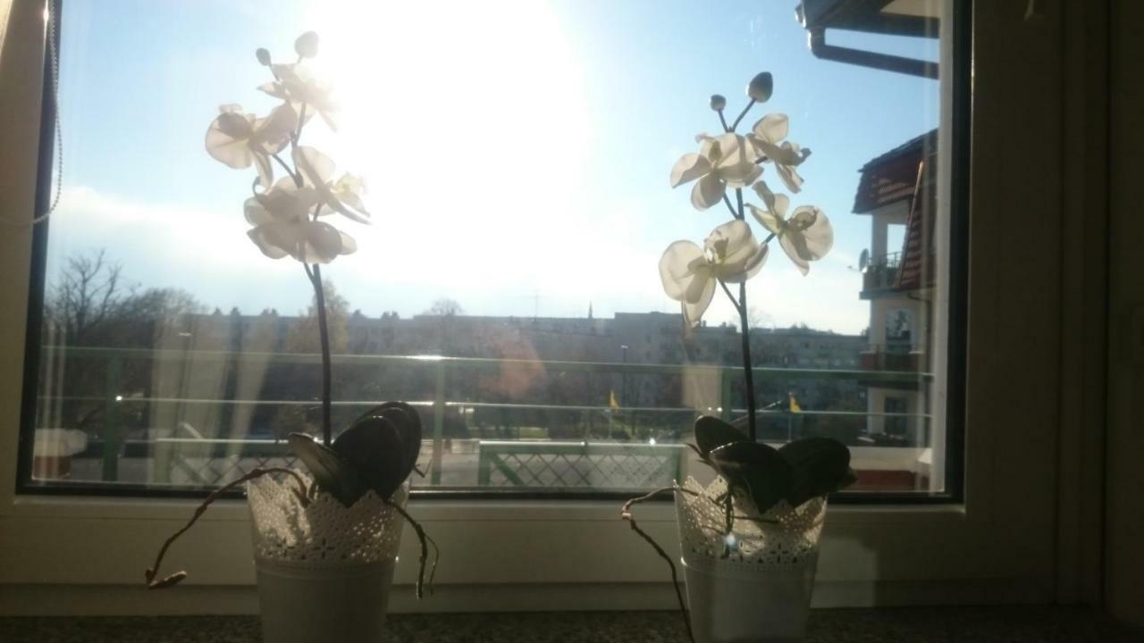 Apartament Mieszka 科沃布热格 外观 照片